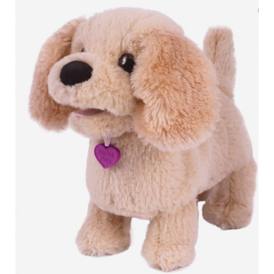 Mera catelusa Golden Retriever Noriel 6734