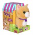 Jucarie de plus interactiva Noriel Pets - Tabby 3664