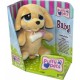 Animalute Noriel Pets