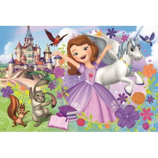 Puzzle 24 piese Sofia Trefl 14270