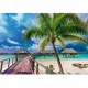 Trefl puzzle 1000 piese Insula paradisului Bora Bora 10704