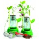 Gradina mea Clementoni 50356