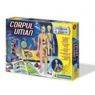 Corpul uman